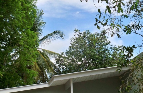 Kampung Kedawang Villa | Terang Bulan Langkawi Paddy Field Villa