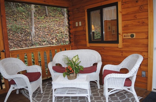 Cooperstown Cabin | Terrace Lawn Cabin - Recently built cabin, 1/2 mile to Dreams Park, shared pool