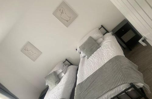 Mountain Ash House | Terrace with a Twist!