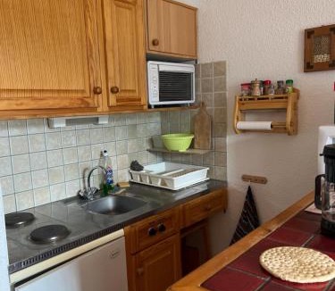 Barcelonnette Apartment | Terrasse Adroit T2 Barcelonnette - Wi-fi gratuit