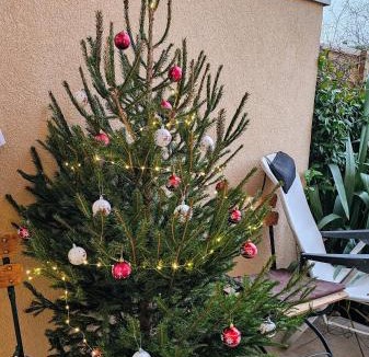 Vienne Apartment | Terrasse de Malissol