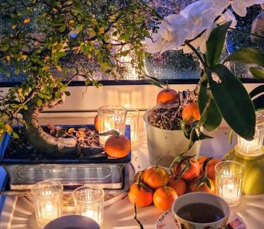 Vienne Apartment | Terrasse de Malissol