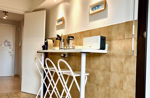 Jean-Medecin Apartment | Terrasse Felix Faure