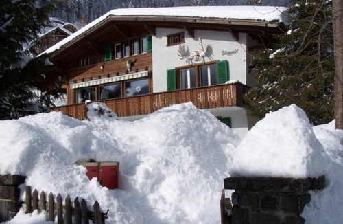 Adelboden Ski Chalet | Terrasse und Garten