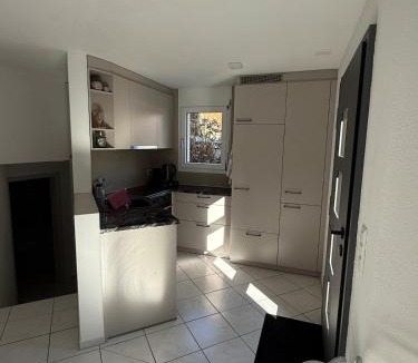Wangen Apartment | Terrassenwohnung mit Parkplatz