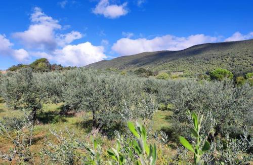 Nyons Apartment | Terre de Lumière 2.