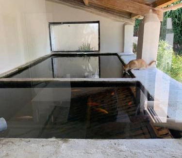 Nyons Apartment | Terre de Lumière 3