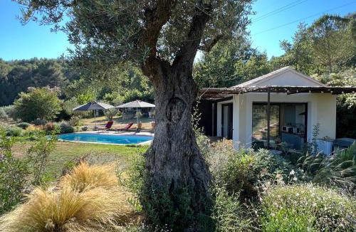 Pertuis House | Terre Luberon