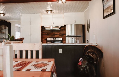 Shattuck House | Terrific 3-bedroom house in charming Shattuck