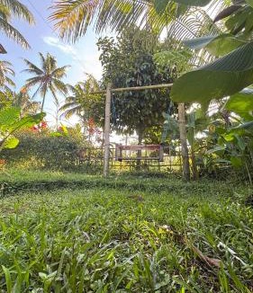 Tetebatu House | Tetebatu Rice field bliss