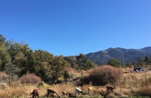 San Cristobal RV Rental | TEWA TIPI - TEWA TIPI