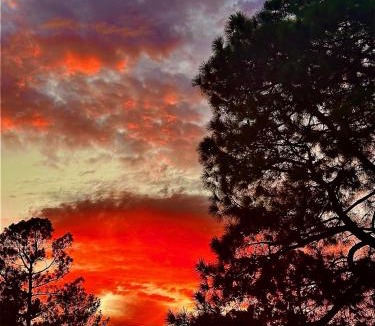 Texarkana Other | Texarkana KOA Journey