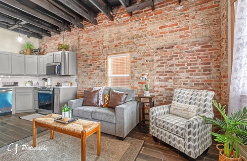 Baird Apartment | Texas Cactus