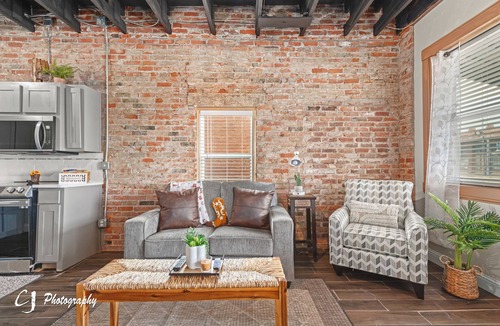 Baird Apartment | Texas Cactus