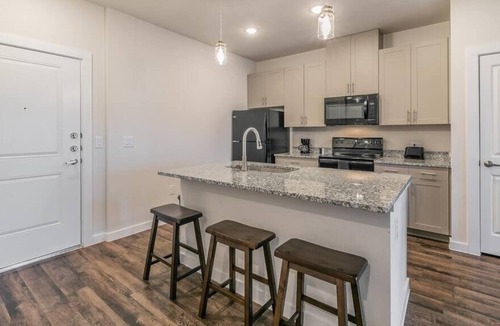 Elmo Apartment | Texas Corporate Housing Professional Apartment