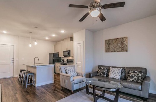 Elmo Apartment | Texas Corporate Housing Solutions Professional Apt