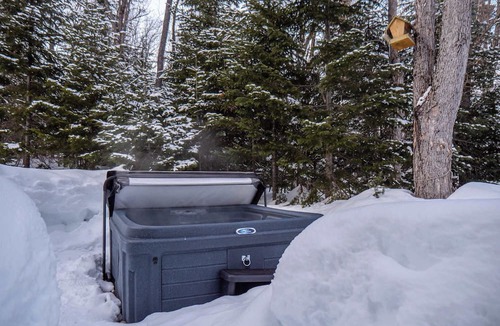 Petite-Riviere-Saint-Francois Ski Chalet | The Bear - Escapade en Nature avec Spa