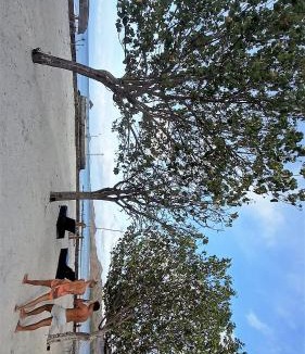 Gili Gede Resort | Thamarind Resort Gili Gede