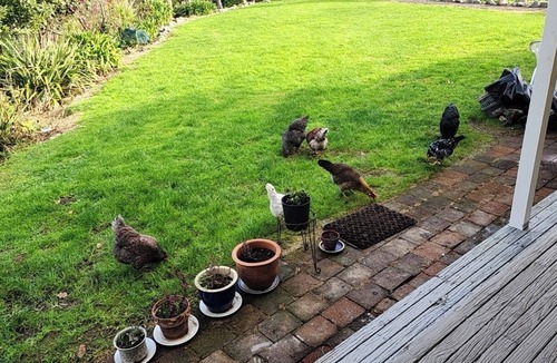 Thames House | Thames River Valley Studio Retreat 2