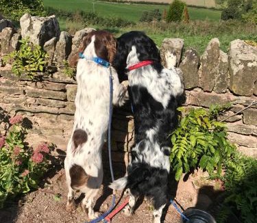 Llangrove House | Thatch Close Cottages