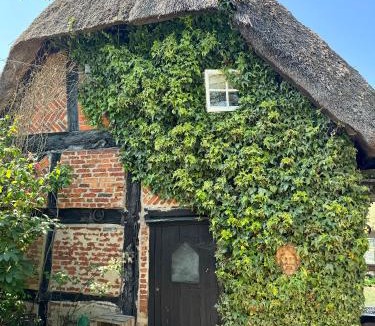 New Forest District Hotel | Thatched Cottage Hotel