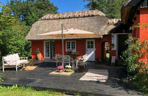 Hoeve Strand House | Thatched House From 1924 Close To The Beach
