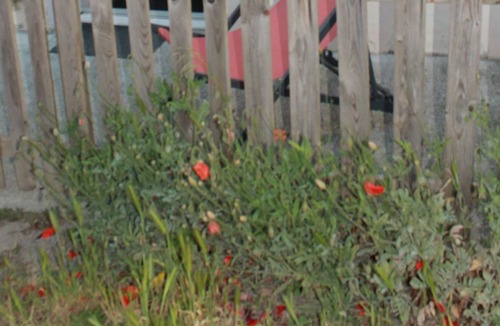 Hauteville-sur-Mer Apartment | The Adantho, 2 steps from the sea