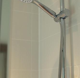 Catton House | The Allendale Wolf