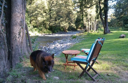 Upper Allyn Cabin | the Allyn River Cabins - "Riverview"