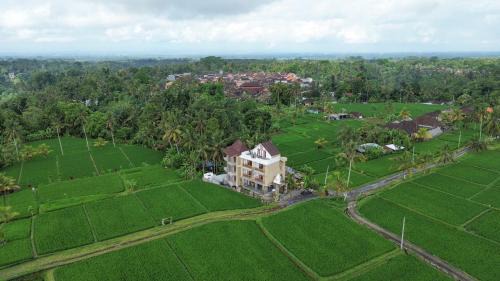 Taro Hotel | The Alugara Suite & Spa