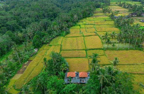 Melayang Resort | The Alus Cottage and Villa