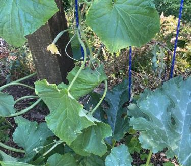 Bethlehem Bed & Breakfast | The Amazing Place NZ