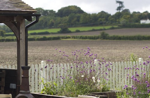 Lower Froyle Hotel | The Anchor Inn