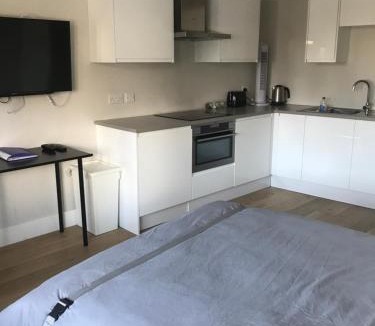 Ickenham Apartment | The Annex