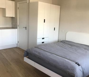 Ickenham Apartment | The Annex