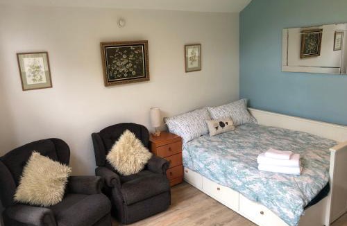 Leeswood Apartment | The Annex - Modern Studio Flat