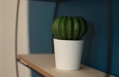 Runnymede Apartment | The Annexe