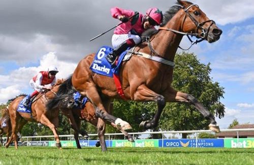 Mildenhall Apartment | The Annexe II