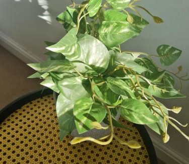 Barton-upon-Humber House | The Appleleaf with Free Parking