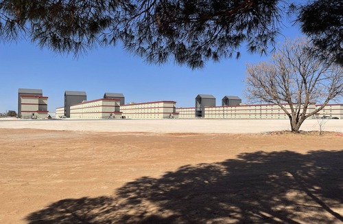 Odessa Hotel | The Armadillo Hotel