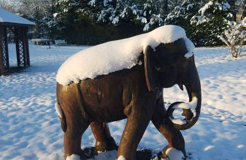 Charmes House | The artistic castle