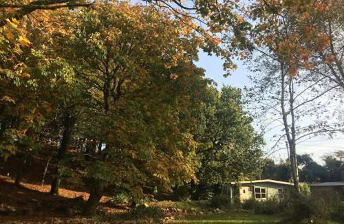 Lower Trengale Ski Chalet | The Artists Studio