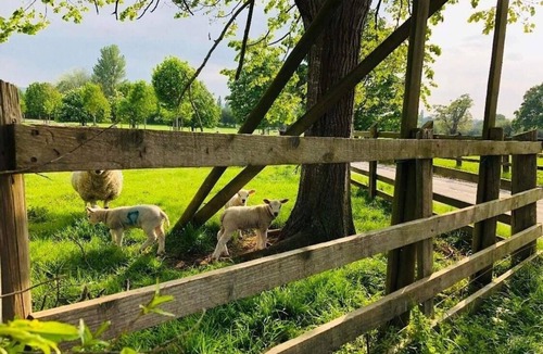 Cleeve Cabin | The Ash View in North Somerset