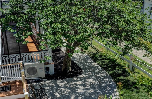 Cape May House | The Ashley Rose