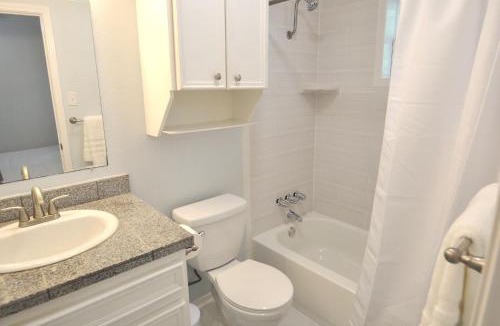 South Lamar Apartment | The Austin Cool Condo