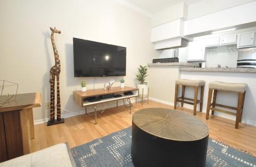 South Lamar Apartment | The Austin Experience