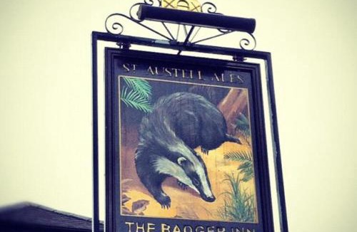 Lelant Hotel | The Badger Inn