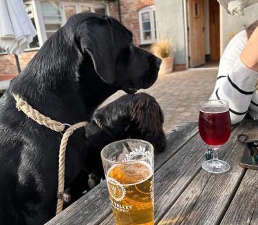 Upper Sapey Hotel | The Baiting House