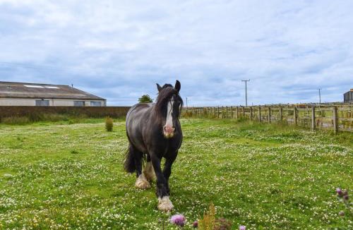 Houghton le Spring House | The Barn