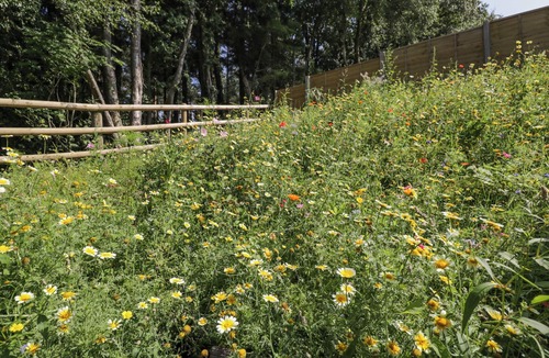 Lytchett Matravers Cottage | The Barn